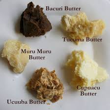 healing butter, bacuri butter, muru muru butter, ucuuba butter, cupuacu butter, tucuma butter